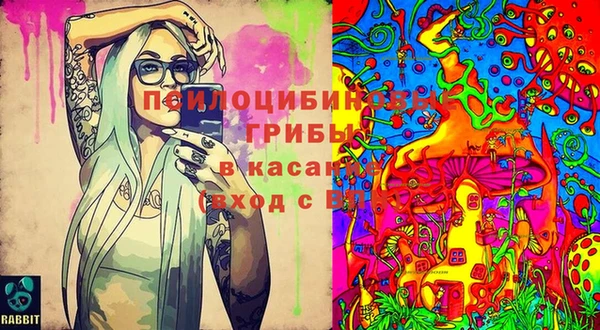 Альфа ПВП Балахна
